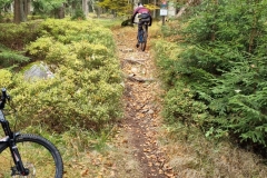 IMG-20211017-WA0016